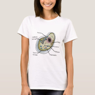 T-shirts de biologie de cellule humaine