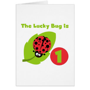 T-shirts et cadeaux Lucky Bug 1er anniversaire