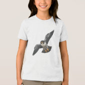 T-shirts pour garçons Faucon pèlerin (Recto)