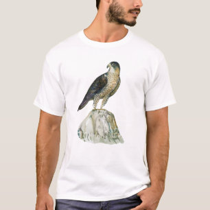 T-shirts pour hommes Faucon pèlerin