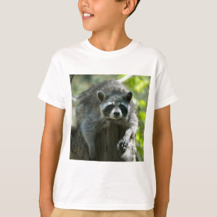 T-shirts Raton Laveur