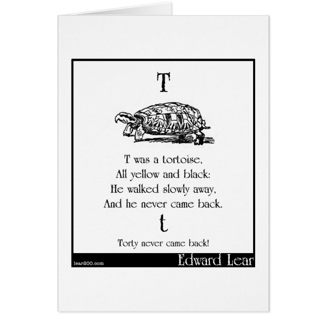 T was een schildpad (Voorkant)