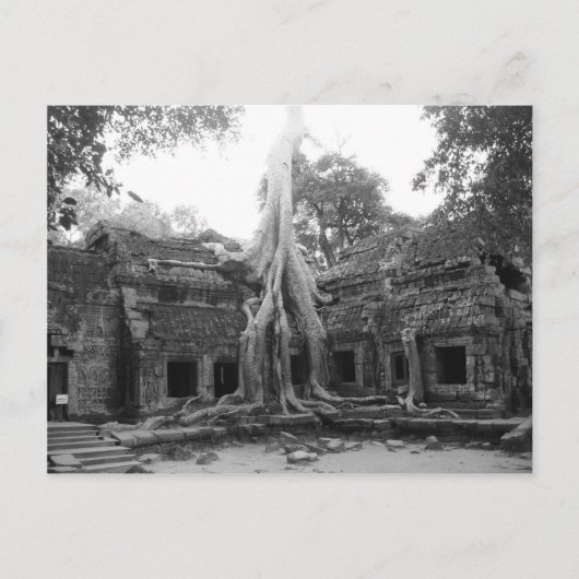 Ta Prohm Briefkaart (Voorkant)