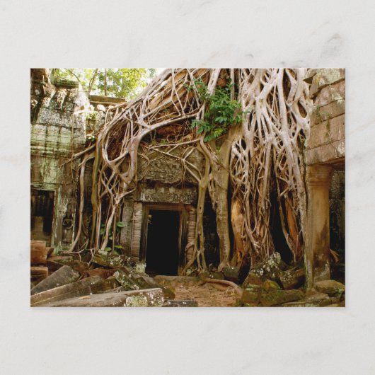 Ta Prohm Briefkaart (Voorkant)