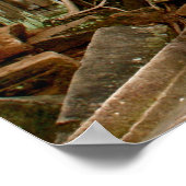 Ta Prohm Poster (Hoek)