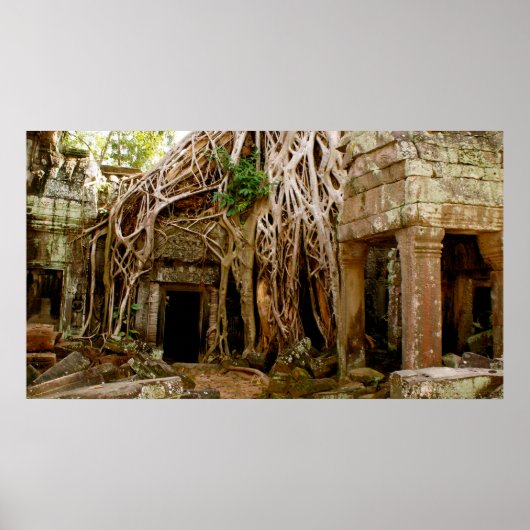 Ta Prohm Poster (Voorkant)