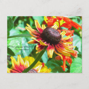 Taal van Bloemen de Cone Bloem Briefkaart