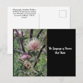 Taal van Flowers Bull Thistle Briefkaart (Voorkant / Achterkant)