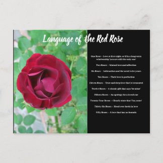 Taal van het Briefkaart van de Roos