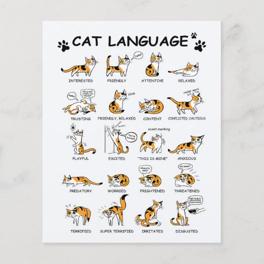 Taal van katten, grappige katjes, leuk katten cade flyer (Voorkant)