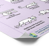 Taal van kattenangst poster (Hoek)