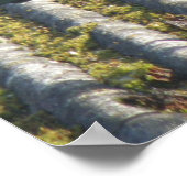 Taart met een oogmerk poster (Hoek)