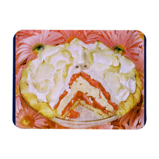 taartmagneet magneet