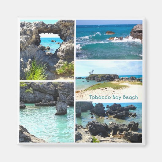 Tabacco Bay Beach, Bermuda Magneet (Voorkant)