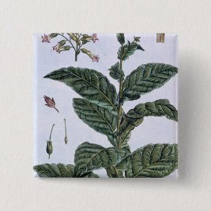 Tabak plant, bord 7, van 'Collectie del euse' Vierkante Button 5,1 Cm