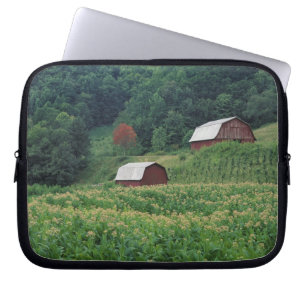Tabaksgewas en paar rode tabaksschuren nabij laptop sleeve
