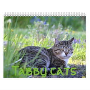Tabakskatten Kalender