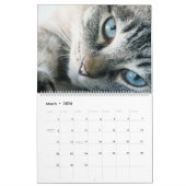 Tabbis gris adorable Calendrier 2022 (Mar 2026)