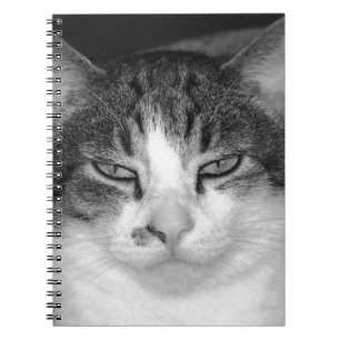 Tabby-and-White Notitieboek