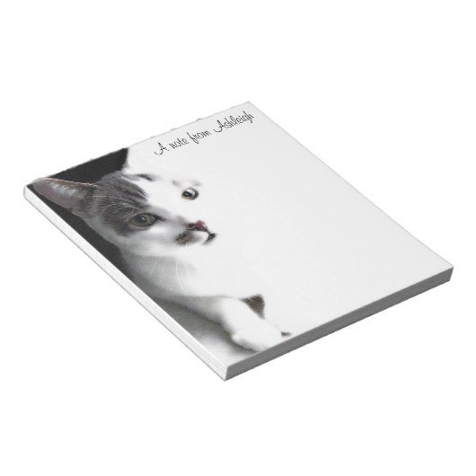 Tabby blanc et Brown Tabby Tabby Tabat Bloc-notes (Incliné)