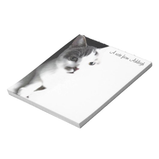 Tabby blanc et Brown Tabby Tabby Tabat Bloc-notes (Tourné)