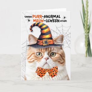 Tabby Britse Halloween Kat PURRanormale MEOWolween Feestdagen Kaart