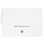 Tabby Cat (Achterkant Horizontaal)