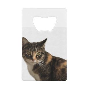 Tabby Cat Artistic Portret op witte achtergrond Kredietkaart Flessenopener