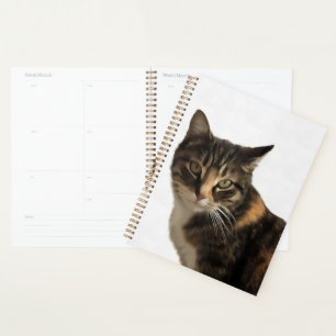 Tabby Cat Artistic Portret op witte achtergrond Planner