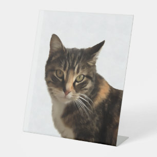 Tabby Cat Artistic Portret op witte achtergrond Reclamebord Met Voetstuk
