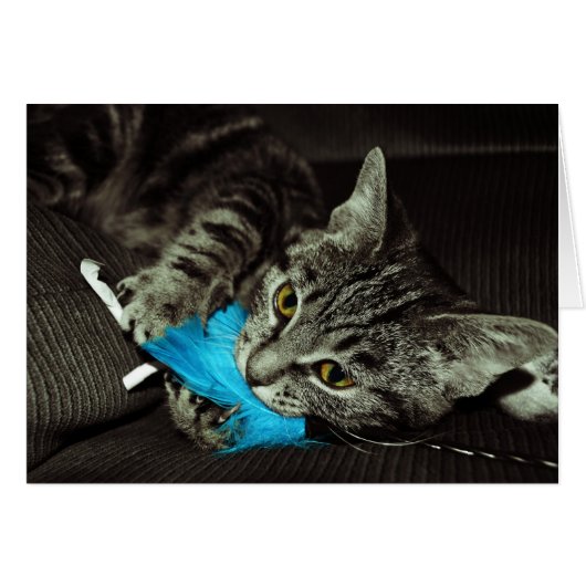 Tabby Cat avec plume par Shirley Taylor (Devant horizontal)