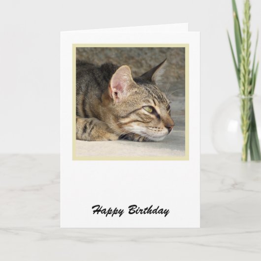 Tabby Cat Birthday Kaart (Voorkant)