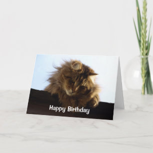 Tabby Cat Birthday Kaart met lange adem