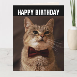 TABBY CAT BOW CRAVATE CARTE DE SALUT D'ANNIVERSAIR