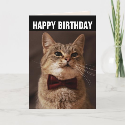 TABBY CAT BOW CRAVATE CARTE DE SALUT D'ANNIVERSAIR (Devant)