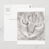 Tabby Cat Briefkaart (Voorkant / Achterkant)