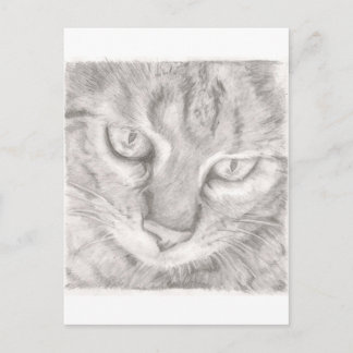Tabby Cat Briefkaart