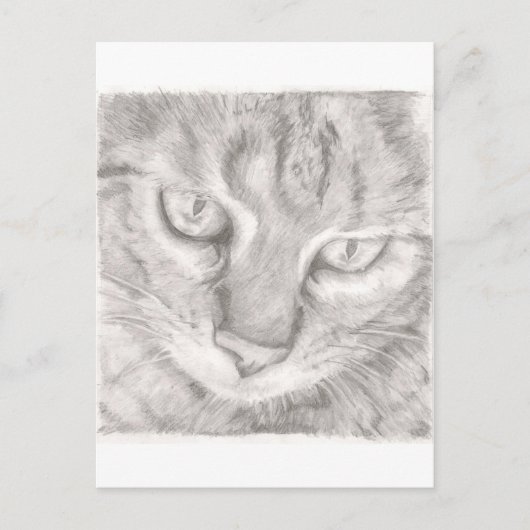 Tabby Cat Briefkaart (Voorkant)