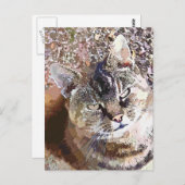TABBY CAT BRIEFKAART (Voorkant / Achterkant)