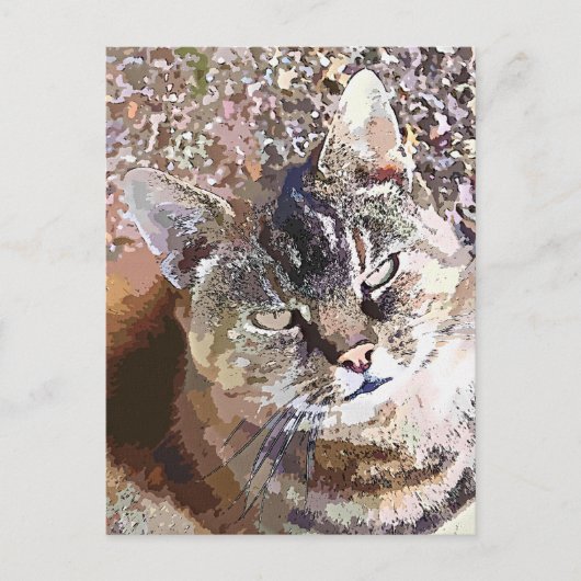 TABBY CAT BRIEFKAART (Voorkant)