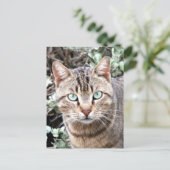 Tabby Cat Briefkaart (Staand voorkant)