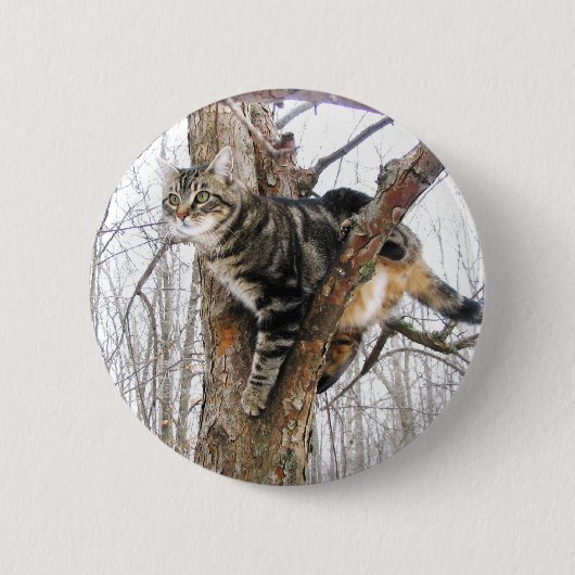 Tabby Cat Button (Voorkant)