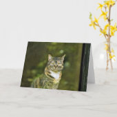 Tabby Cat, carte (Fleur jaune)