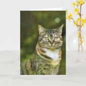 Tabby Cat, carte (Fleur jaune)