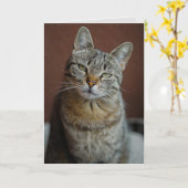 TABBY CAT CARTE D'ANNIVERSAIRE POUR PERSONNE BEAU (Fleur jaune)