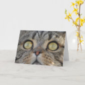 Tabby Cat - Carte de voeux (Fleur jaune)