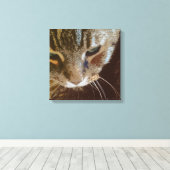 Tabby Cat Close Up Verpakt Canvas (Insitu (Houten vloer))