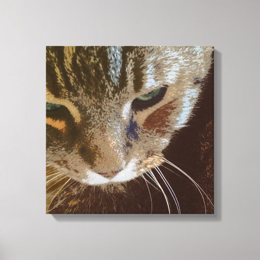 Tabby Cat Close Up Verpakt Canvas (Voorkant)