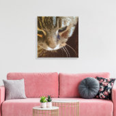 Tabby Cat Close Up Verpakt Canvas Afdruk (Insitu (Woonkamer))