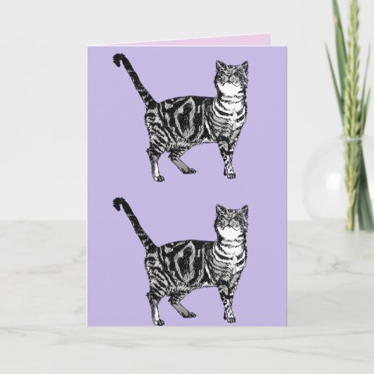 Tabby Cat Cute Cats Pink Art Dessin Carte Annivers (Devant)